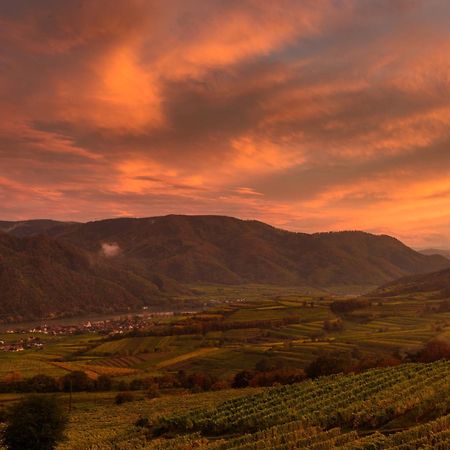 Готель Gaestehaus Familie Trachsler Rohrendorf bei Krems Екстер'єр фото