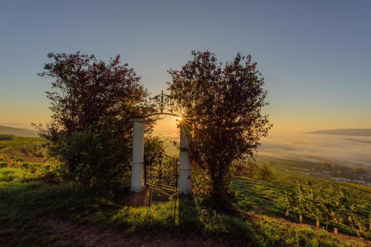 Готель Gaestehaus Familie Trachsler Rohrendorf bei Krems Екстер'єр фото