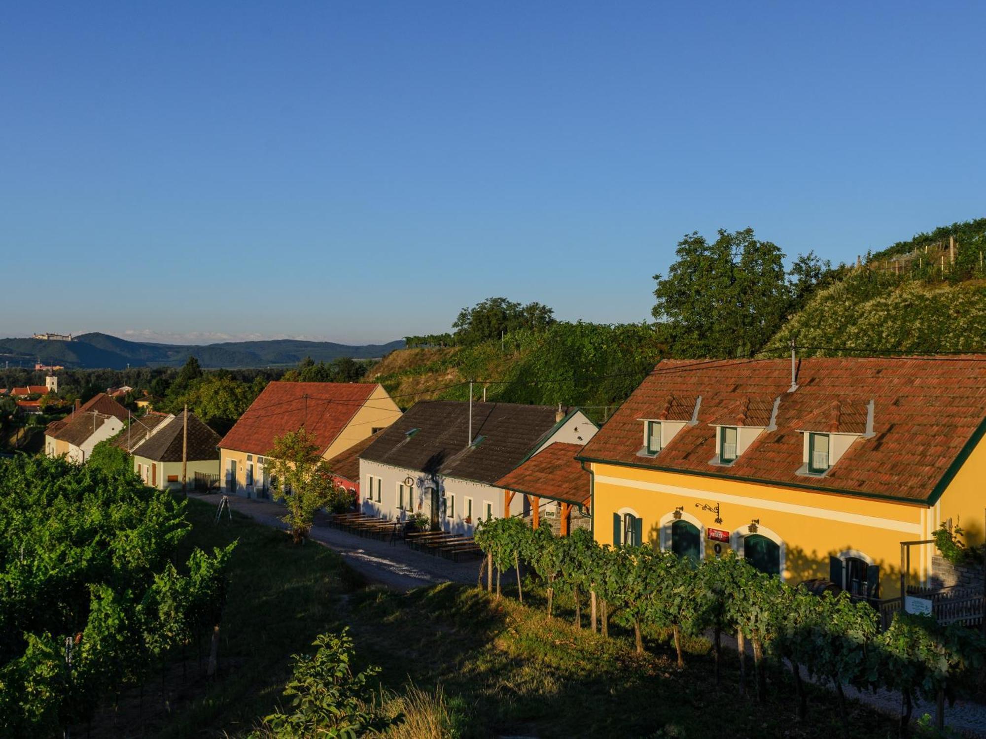 Готель Gaestehaus Familie Trachsler Rohrendorf bei Krems Екстер'єр фото