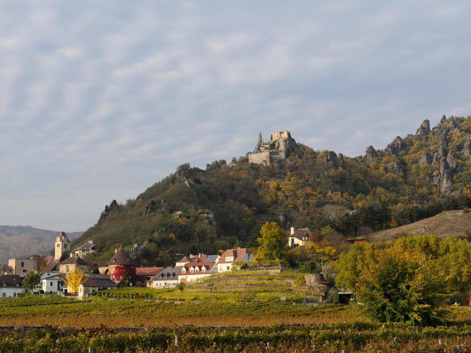 Готель Gaestehaus Familie Trachsler Rohrendorf bei Krems Екстер'єр фото